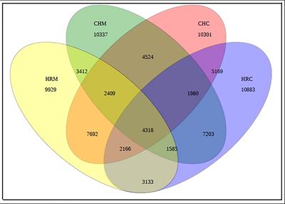 Impact assessment of cold-adapted Pseudomonas jesenii MP1 and Pseudomonas palleroniana N26 on Phaseolus vulgaris yield and soil health